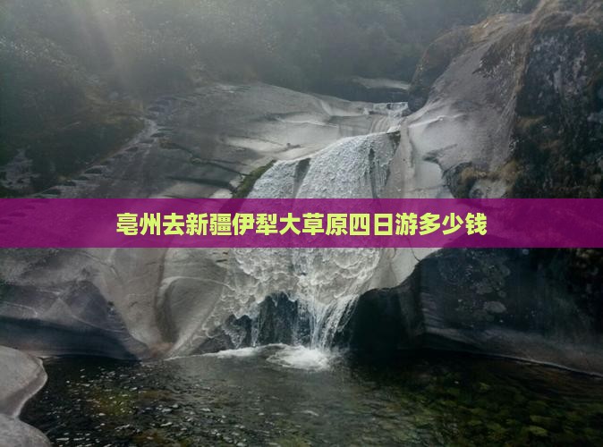 亳州去新疆伊犁大草原四日游多少钱