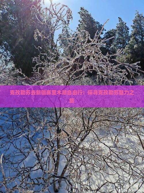 克孜勒苏去新疆赛里木湖自由行：探寻克孜勒苏魅力之旅