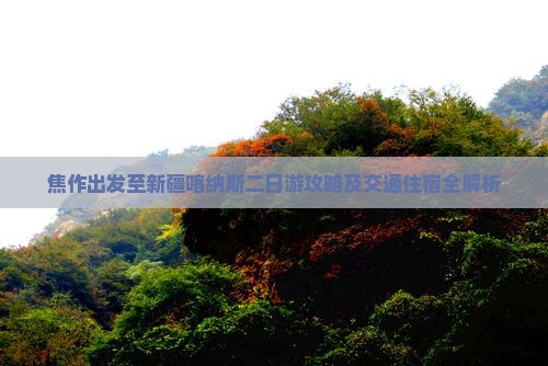 焦作出发至新疆喀纳斯二日游攻略及交通住宿全解析