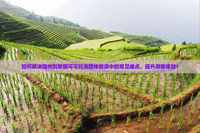 如何解决随州到新疆可可托海团体旅游中的常见痛点，提升游客体验？