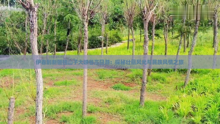 伊春到新疆独山子大峡谷三日游:探秘壮丽风光与民族风情之旅 伊春到新疆独山子大峡谷三日游:探秘壮丽风光与民族风情之旅