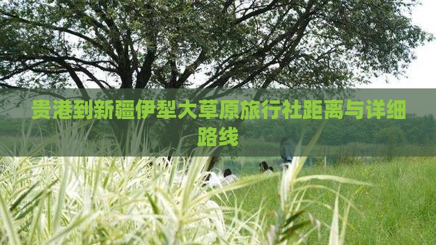 贵港到新疆伊犁大草原旅行社距离与详细路线 贵港到新疆伊犁大草原旅行社距离与详细路线