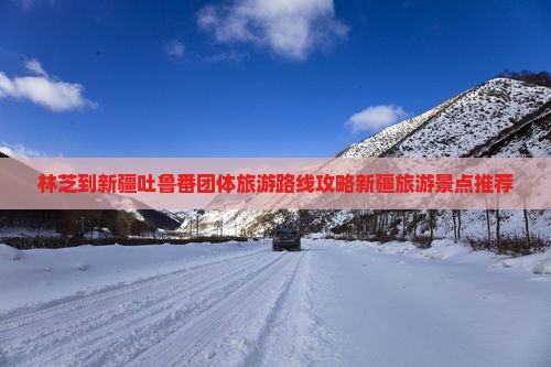 林芝到新疆吐鲁番团体旅游路线攻略新疆旅游景点推荐