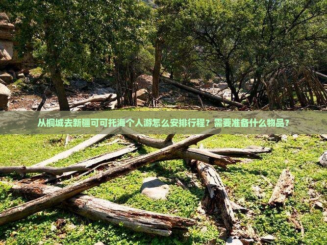从桐城去新疆可可托海个人游怎么安排行程？需要准备什么物品？