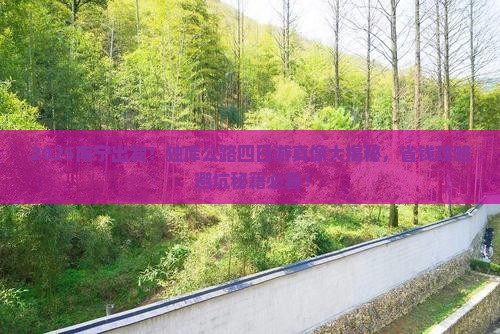南宁到新疆独库公路四日游