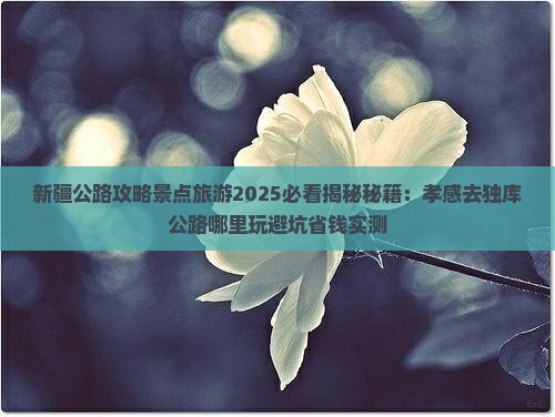 孝感去新疆独库公路哪里玩