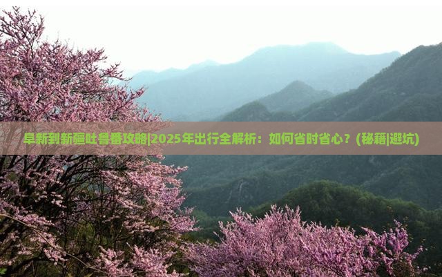 阜新到新疆吐鲁番攻略