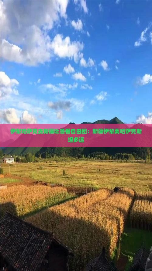 伊犁哈萨克去新疆吐鲁番自由团 伊犁哈萨克去新疆吐鲁番自由团