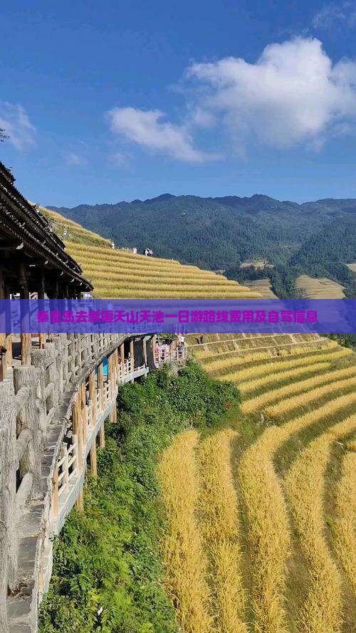 秦皇岛去新疆天山天池一日