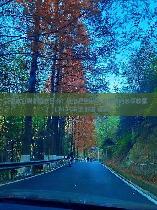 张家口到新疆六日游