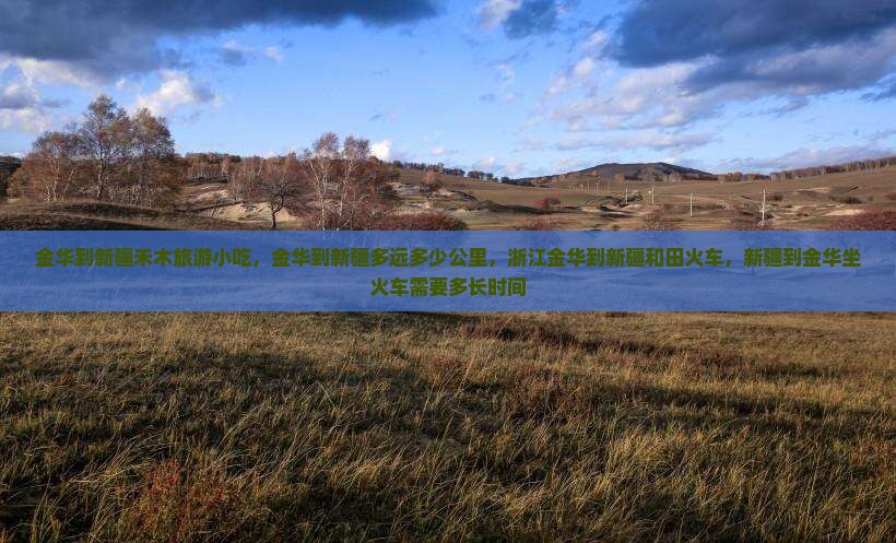 金华到新疆禾木旅游小吃