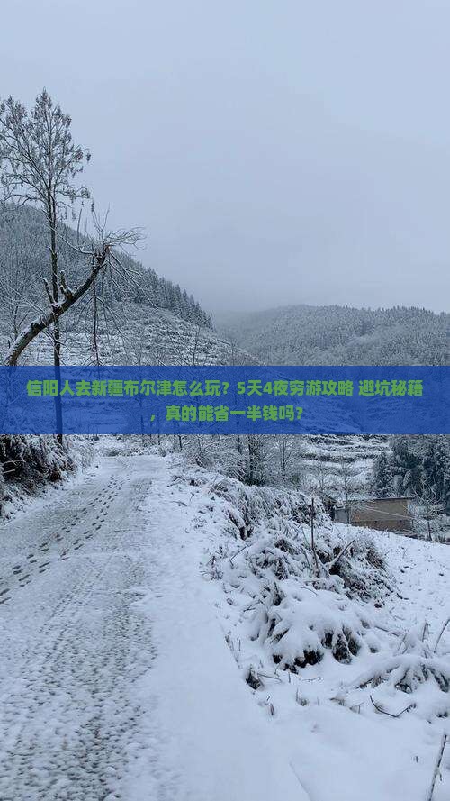 信阳去新疆布尔津旅行社