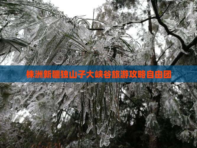 株洲去新疆独山子大峡谷自由团