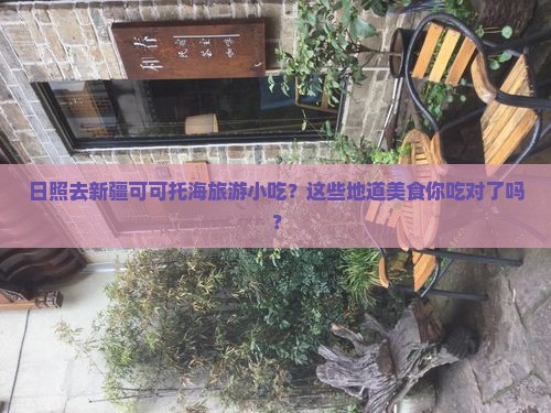 日照去新疆可可托海旅游小吃