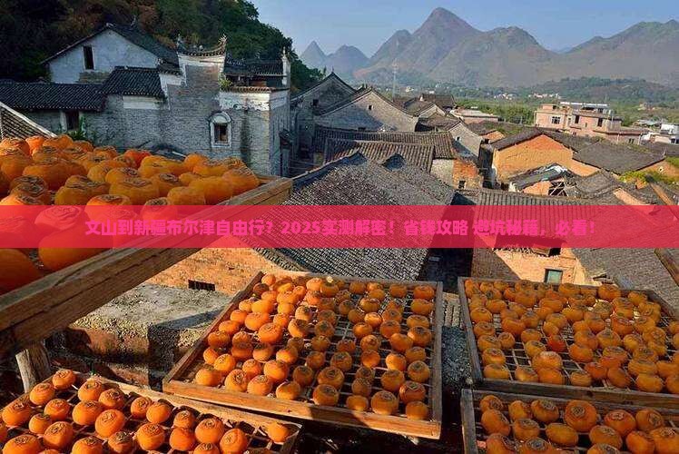 文山到新疆布尔津自由行