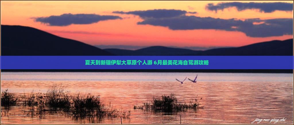 夏天到新疆伊犁大草原个人游