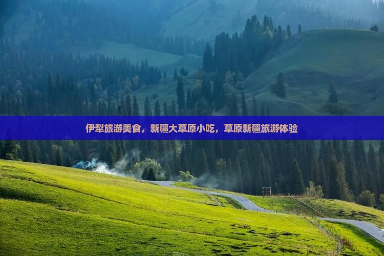 景德镇到新疆伊犁大草原旅游小吃