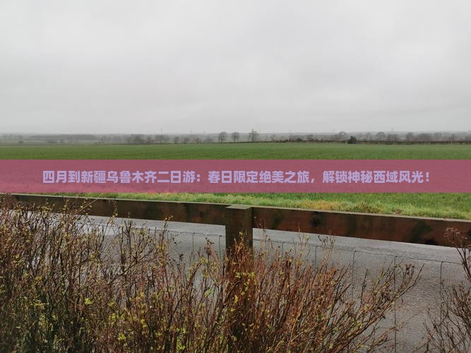 四月到新疆乌鲁木齐二日游