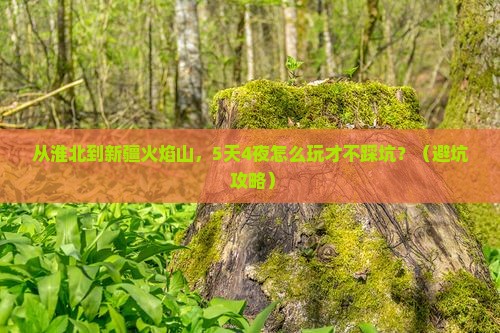 淮北到新疆火焰山自由团