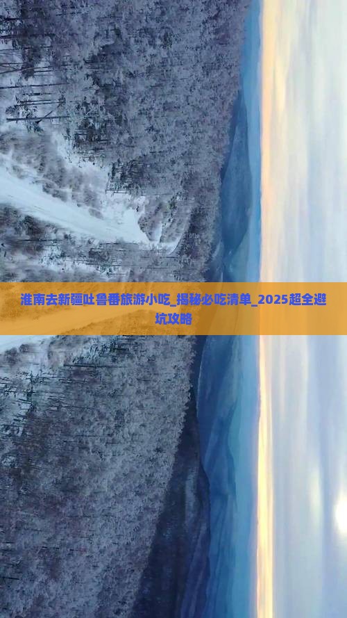 淮南去新疆吐鲁番旅游小吃