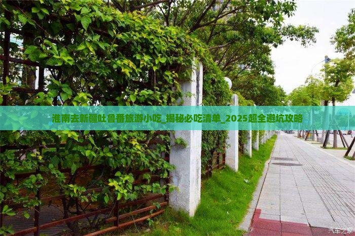 淮南去新疆吐鲁番旅游小吃