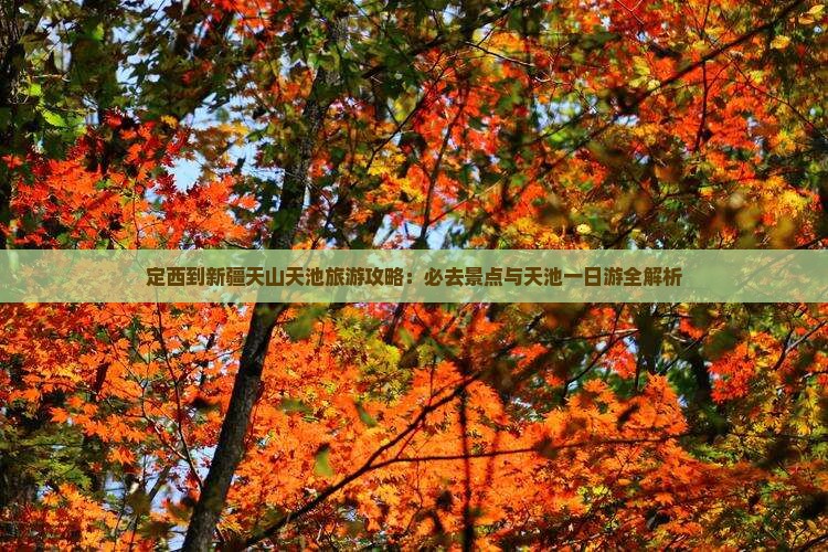 定西到新疆天山天池一日