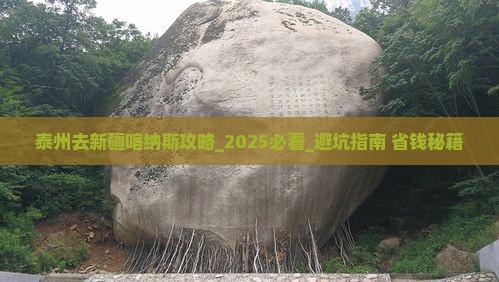 泰州去新疆喀纳斯攻略