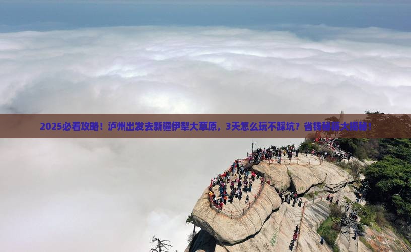 泸州到新疆伊犁大草原团体旅游