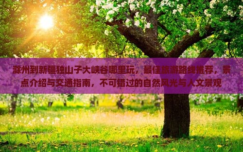 滁州到新疆独山子大峡谷哪里玩