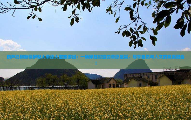 葫芦岛到新疆伊犁大草原大型旅游团