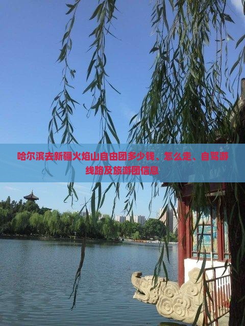 哈尔滨去新疆火焰山自由团