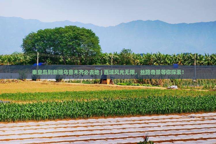 秦皇岛到新疆乌鲁木齐必去地
