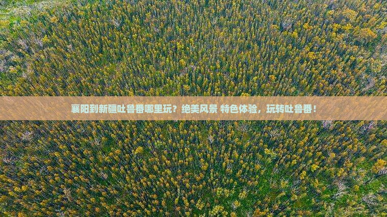 襄阳到新疆吐鲁番哪里玩