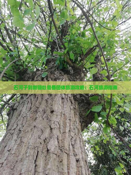 石河子到新疆吐鲁番团体旅游