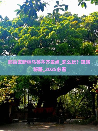 邢台去新疆乌鲁木齐景点