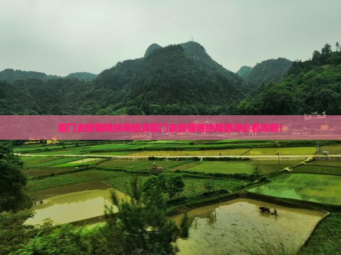 厦门去新疆喀纳斯旅游