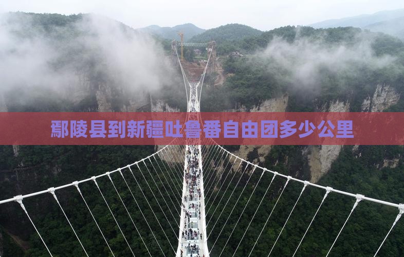 鄢陵县到新疆吐鲁番自由团