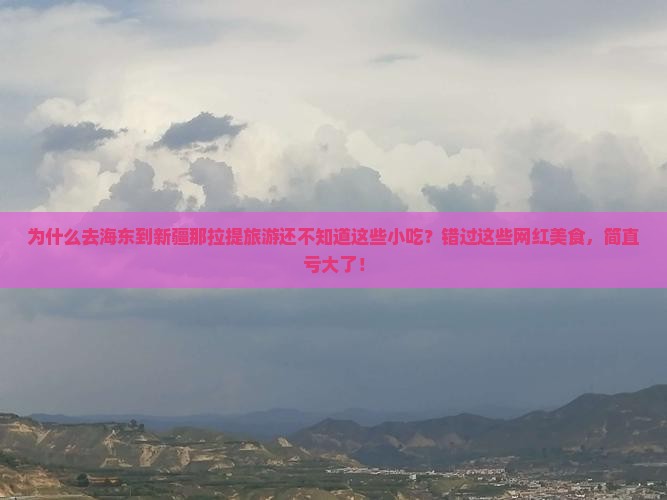 海东到新疆那拉提旅游小吃