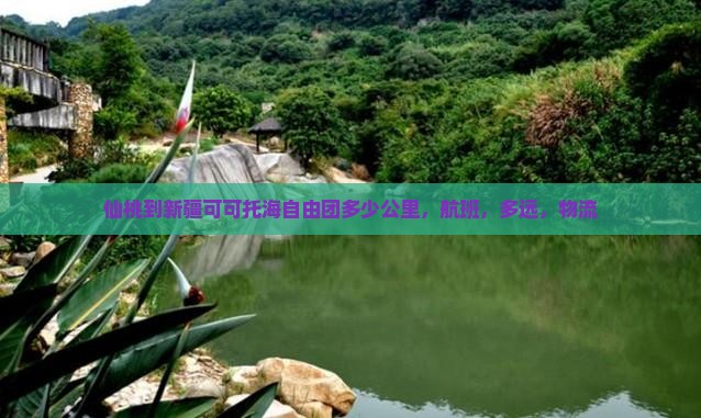 仙桃到新疆可可托海自由团