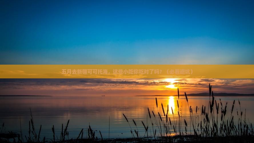 五月去新疆可可托海旅游小吃