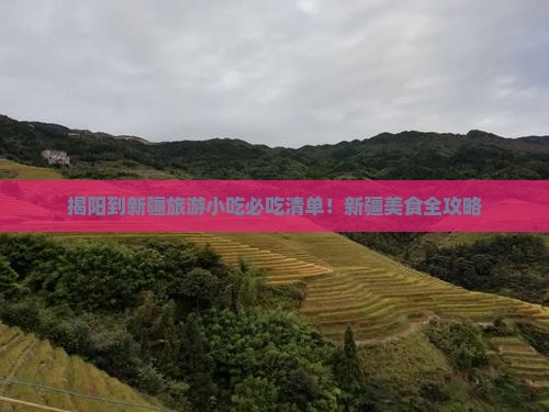揭阳到新疆旅游小吃