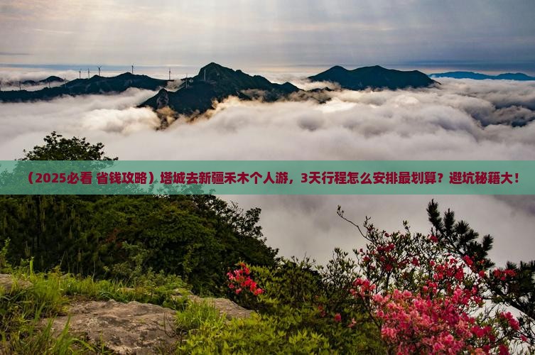 塔城去新疆禾木个人游