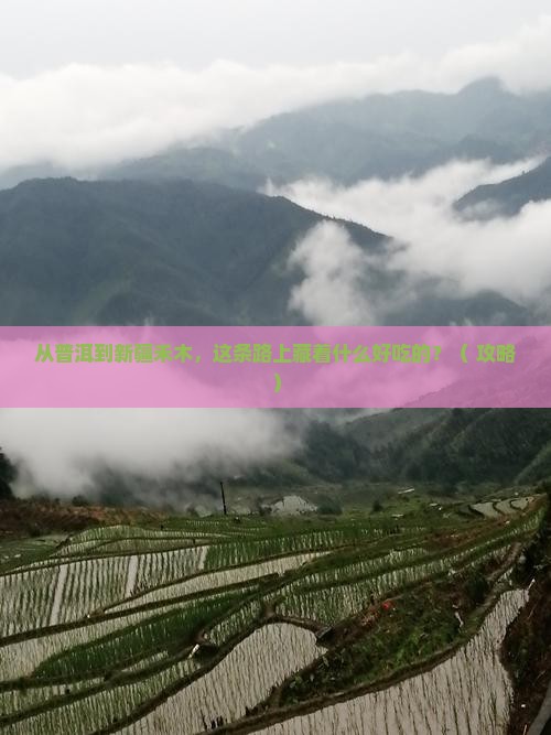 普洱到新疆禾木旅游小吃