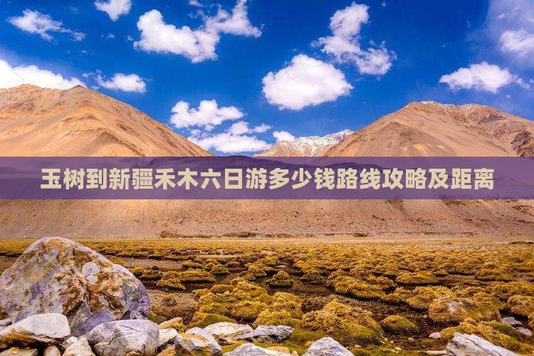 玉树到新疆禾木六日游