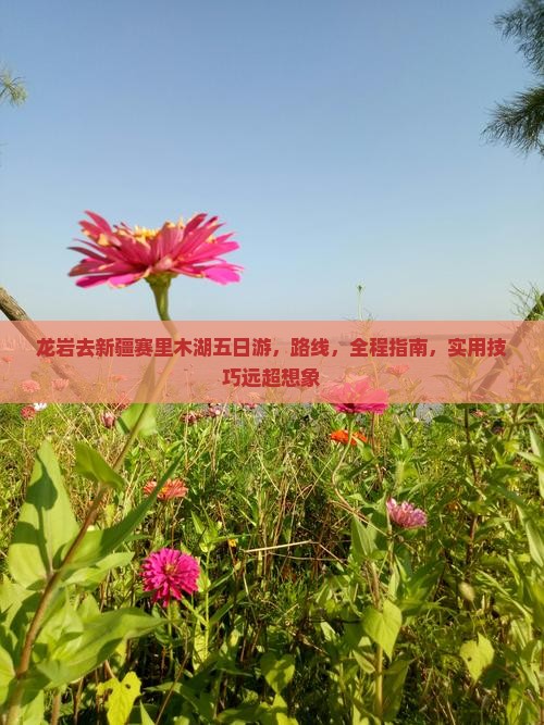 龙岩去新疆赛里木湖五日游