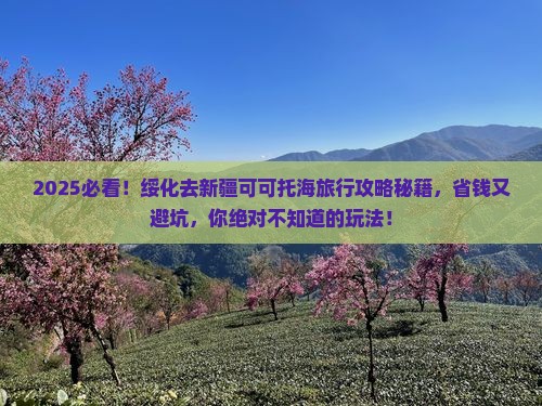 绥化去新疆可可托海旅行社