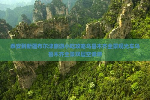 泰安到新疆布尔津旅游小吃攻略乌鲁木齐全景观光车乌鲁木齐全景双层空调游