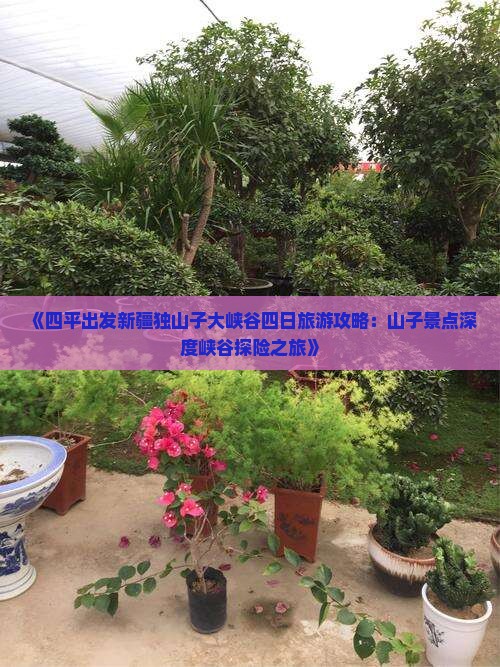 《四平出发新疆独山子大峡谷四日旅游攻略：山子景点深度峡谷探险之旅》