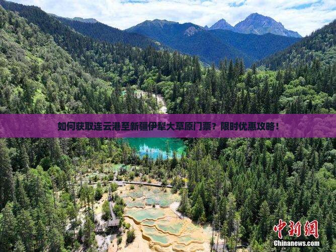 如何获取连云港至新疆伊犁大草原门票？限时优惠攻略！