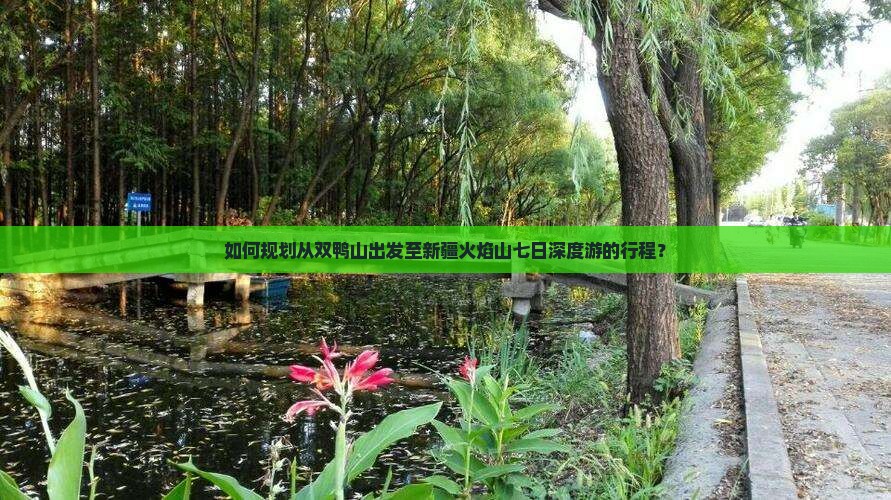 如何规划从双鸭山出发至新疆火焰山七日深度游的行程？